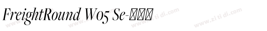 FreightRound W05 Se字体转换